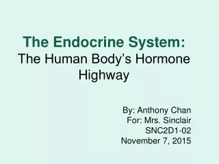 The Endocrine System:  The Human Body’s Hormone Highway