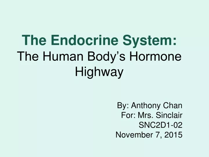 the endocrine system the human body s hormone highway