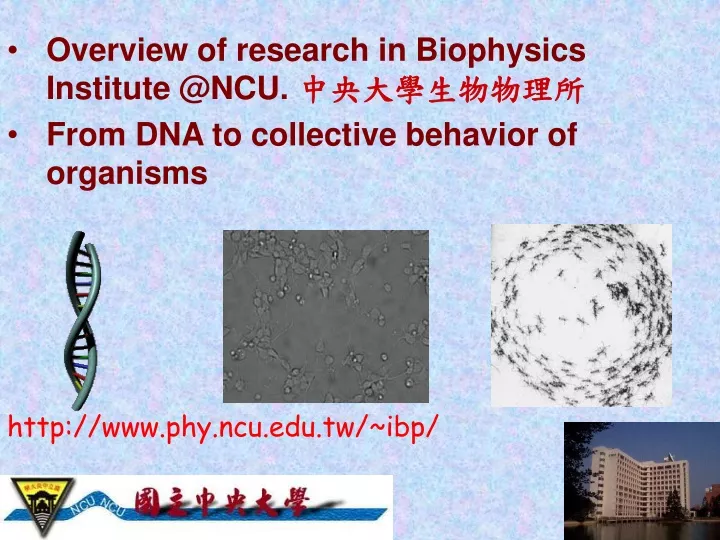 overview of research in biophysics institute @ncu from dna to collective behavior of organisms