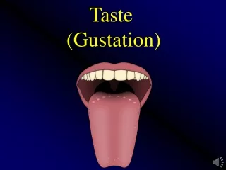 Taste  (Gustation)