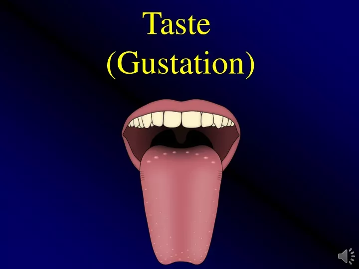 taste gustation