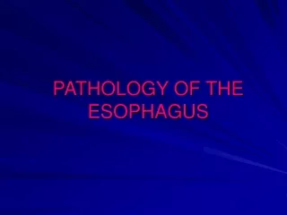 PATHOLOGY OF THE ESOPHAGUS