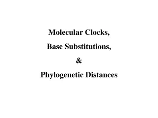 Molecular Clocks, Base Substitutions, &amp; Phylogenetic Distances