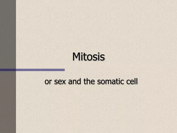 mitosis