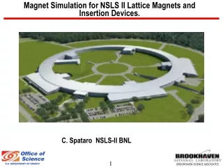 Magnet Simulation for NSLS II Lattice Magnets and Insertion Devices.