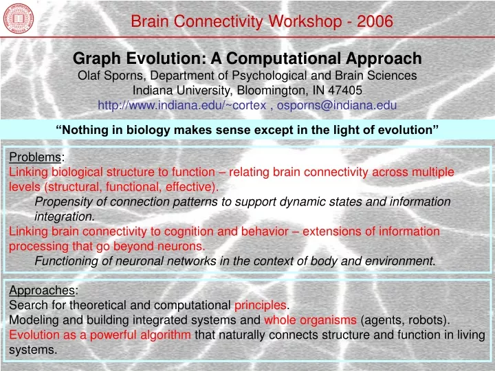 brain connectivity workshop 2006