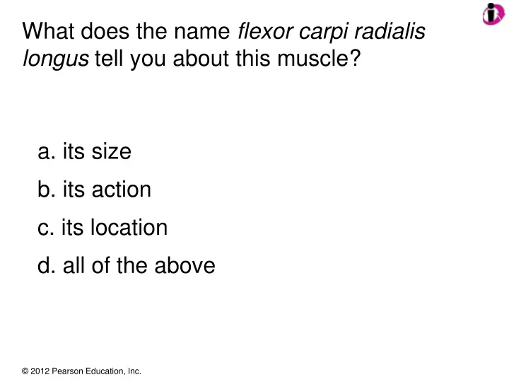 what does the name flexor carpi radialis longus