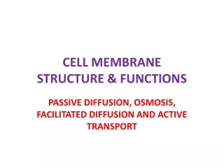 CELL MEMBRANE  STRUCTURE &amp; FUNCTIONS
