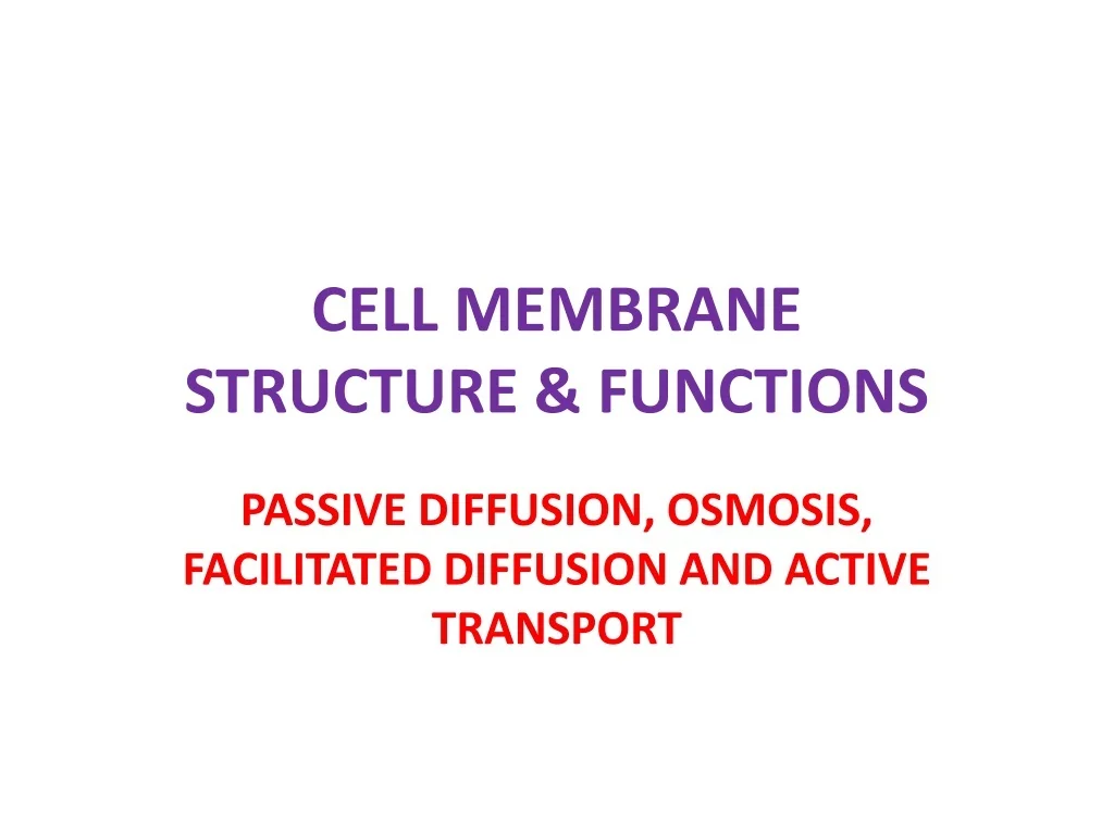 PPT - CELL MEMBRANE STRUCTURE & FUNCTIONS PowerPoint Presentation - ID ...