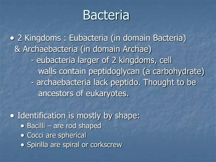 bacteria