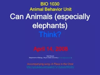 BIO 1030  Animal Behavior Unit Can Animals (especially elephants)  Think?  April 14, 2008