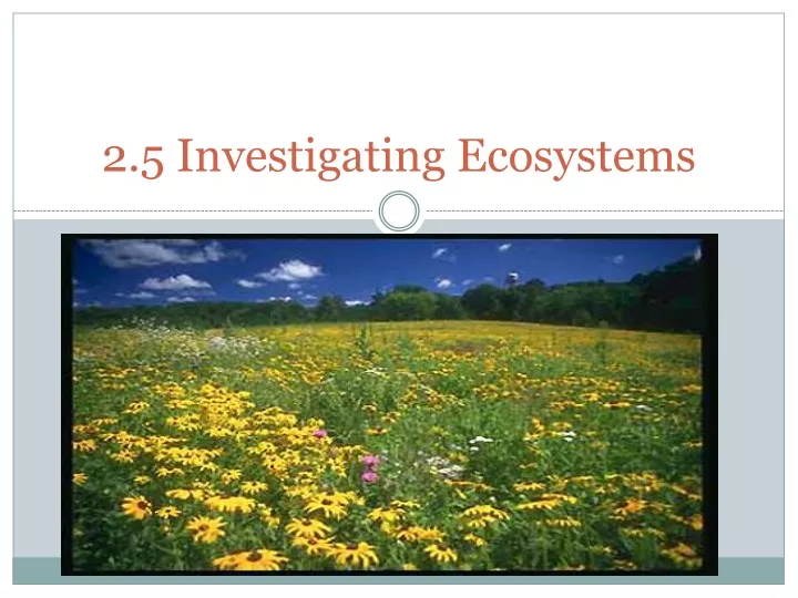 2 5 investigating ecosystems