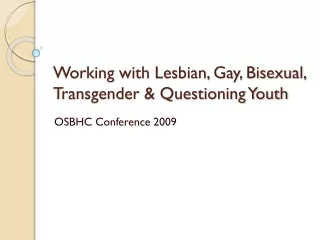Working with Lesbian, Gay, Bisexual, Transgender &amp; Questioning Youth