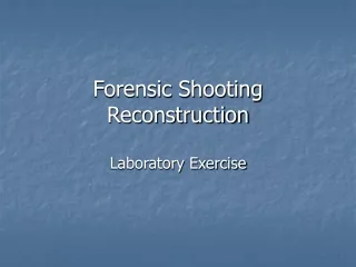 Forensic Shooting Reconstruction