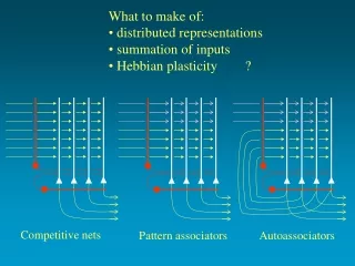 What to make of:  distributed representations  summation of inputs  Hebbian plasticity        ?