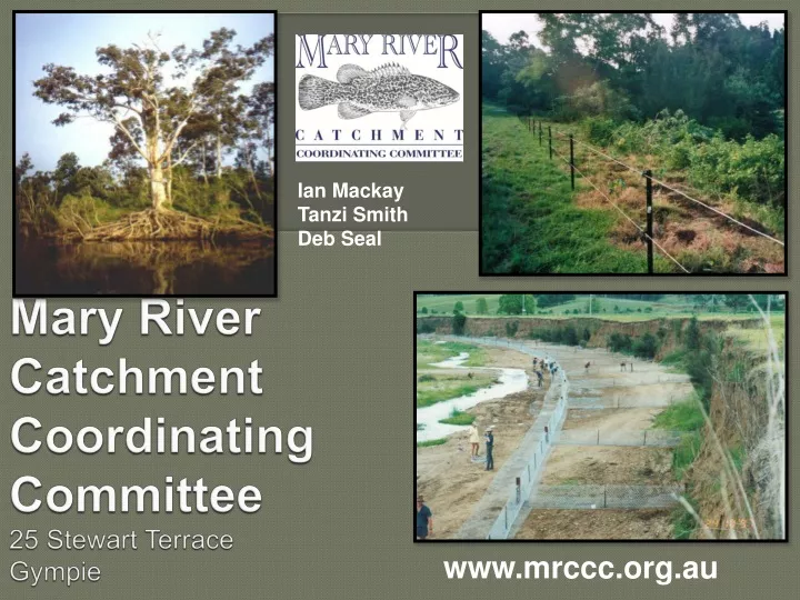 mary river catchment coordinating committee 25 stewart terrace gympie