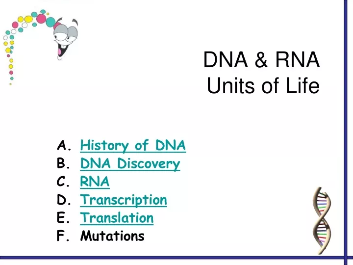 dna rna units of life