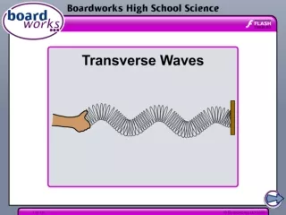 What are transverse waves?