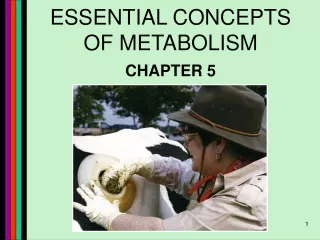 essential concepts of metabolism