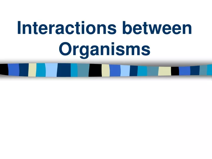 interactions between organisms