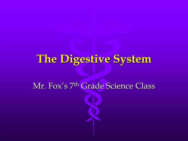 the digestive system