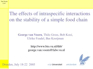 The effects of intraspecific interactions on the stability of a simple food chain