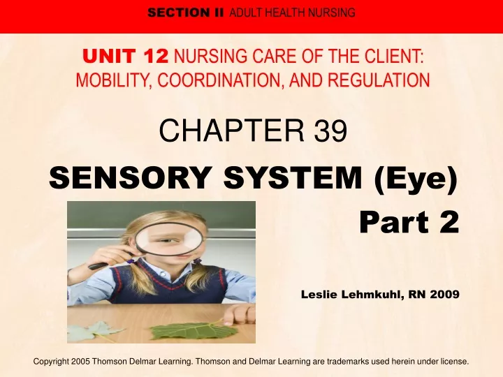 sensory system eye part 2 leslie lehmkuhl rn 2009