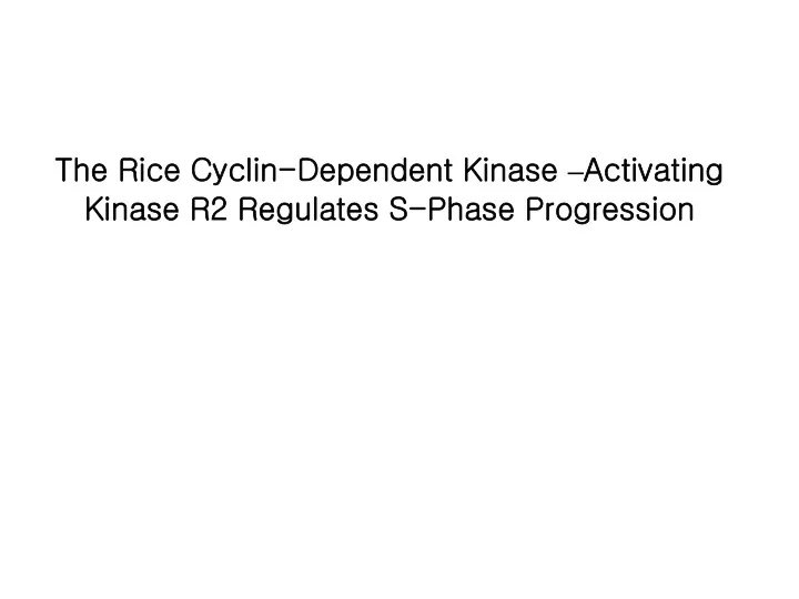 the rice cyclin dependent kinase activating