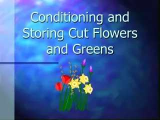 Conditioning and Storing Cut Flowers and Greens