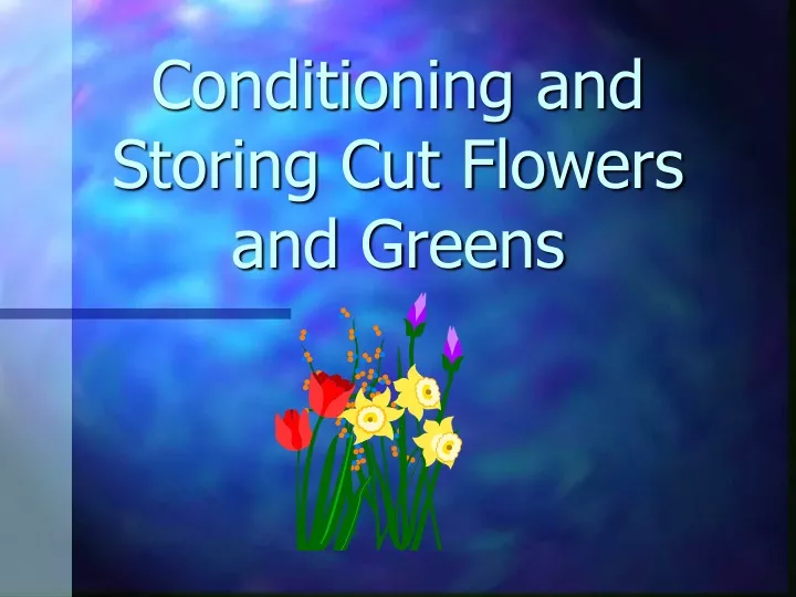 conditioning and storing cut flowers and greens
