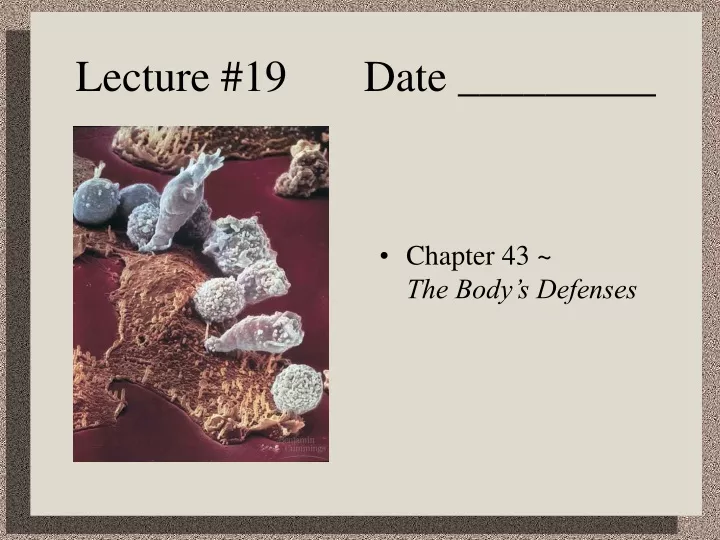 lecture 19 date