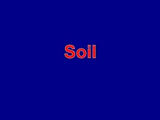 Soil