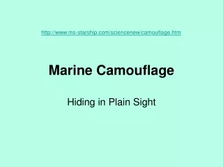 Marine Camouflage