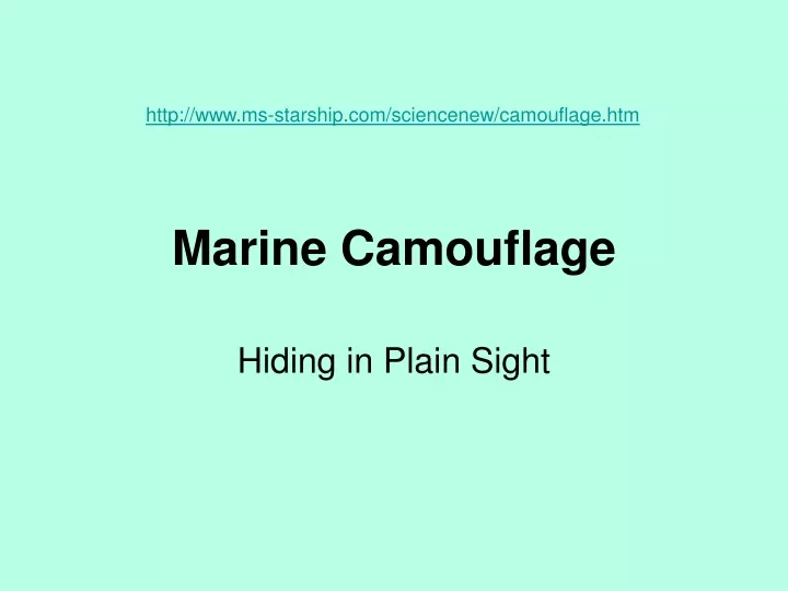 marine camouflage