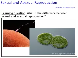 Sexual and Asexual Reproduction									 Saturday, 04 January 2020