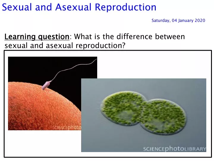 sexual and asexual reproduction saturday