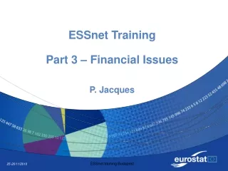 ESSnet Training Part 3 – Financial Issues P. Jacques