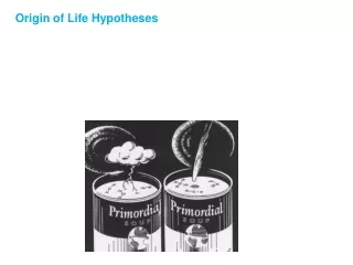 Origin of Life Hypotheses