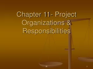 Chapter 11- Project Organizations &amp; Responsibilities