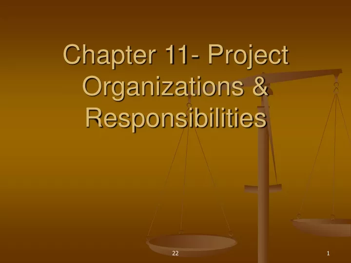 chapter 11 project organizations responsibilities