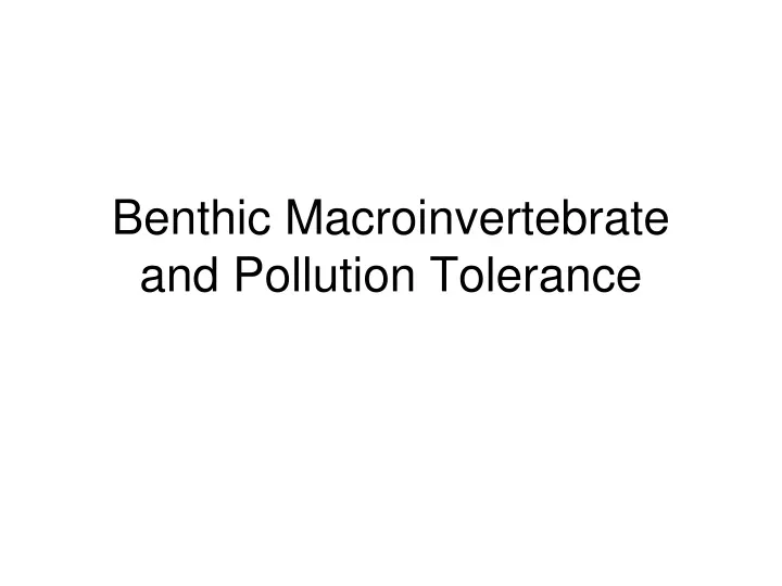 benthic macroinvertebrate and pollution tolerance