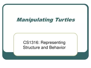 Manipulating Turtles