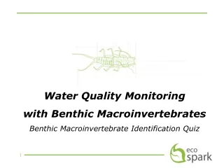 Water Quality Monitoring  with Benthic Macroinvertebrates
