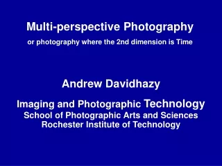 Multi-perspective Photography or photography where the 2nd dimension is Time