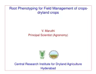 Root Phenotyping for Field Management of crops- dryland crops V. Maruthi
