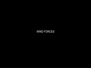 WIND FORCES