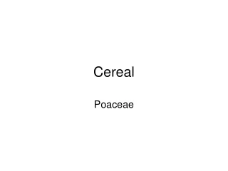 Cereal