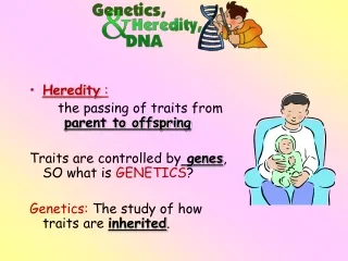 Heredity  :        the passing of traits from      	 parent to offspring