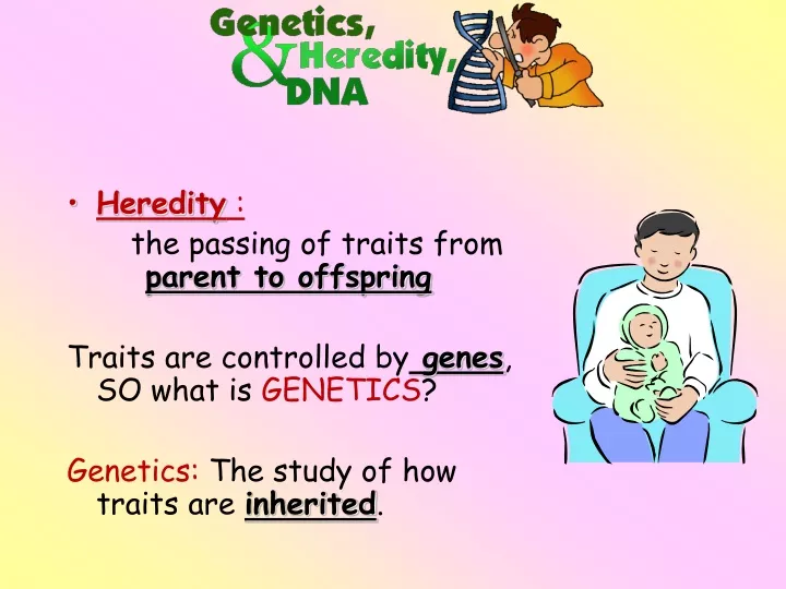 heredity the passing of traits from parent
