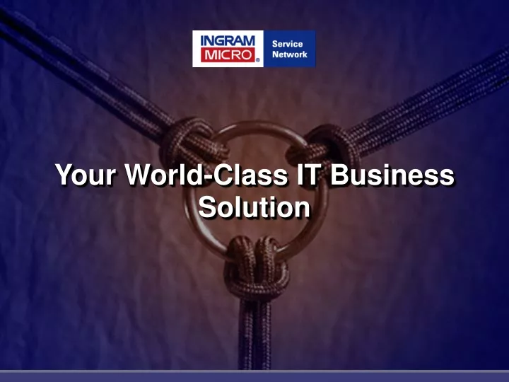 your world class it business solution